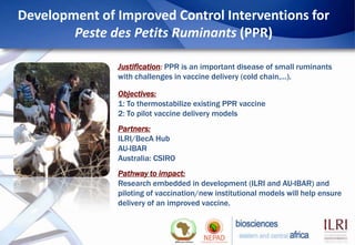 Biosciences eastern and central Africa – International Livestock Research Institute (BecA-ILRI) Hub: Its role on enhancing science and technology capacity in Africa