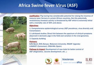 Biosciences eastern and central Africa – International Livestock Research Institute (BecA-ILRI) Hub: Its role on enhancing science and technology capacity in Africa