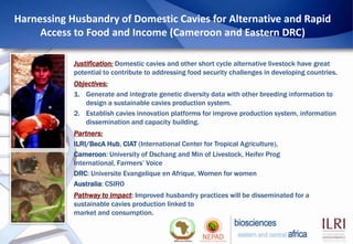 Harnessing Husbandry of Domestic Cavies for Alternative and Rapid
     Access to Food and Income (Cameroon and Eastern DRC...