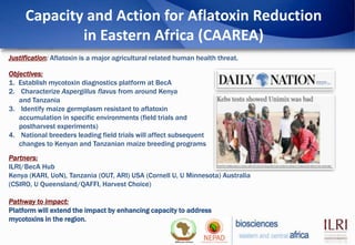 Biosciences eastern and central Africa – International Livestock Research Institute (BecA-ILRI) Hub: Its role on enhancing science and technology capacity in Africa