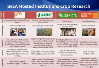 Biosciences eastern and central Africa – International Livestock Research Institute (BecA-ILRI) Hub: Its role on enhancing science and technology capacity in Africa