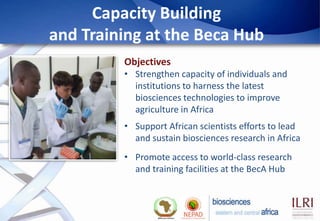 Biosciences eastern and central Africa – International Livestock Research Institute (BecA-ILRI) Hub: Its role on enhancing science and technology capacity in Africa