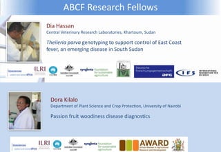 ABCF Research Fellows
Dia Hassan
Central Veterinary Research Laboratories, Khartoum, Sudan

Theileria parva genotyping to ...