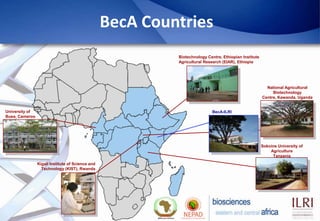 Biosciences eastern and central Africa – International Livestock Research Institute (BecA-ILRI) Hub: Its role on enhancing science and technology capacity in Africa