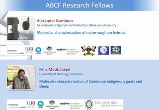 Biosciences eastern and central Africa – International Livestock Research Institute (BecA-ILRI) Hub: Its role on enhancing science and technology capacity in Africa