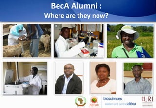 BecA Alumni :
Where are they now?
 