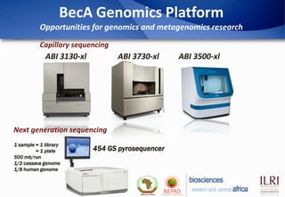Biosciences eastern and central Africa – International Livestock Research Institute (BecA-ILRI) Hub: Its role on enhancing science and technology capacity in Africa