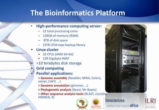The Bioinformatics Platform
• High-performance computing server:
    –   32 total processing cores
    –   128GB of memory...