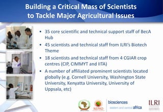Biosciences eastern and central Africa – International Livestock Research Institute (BecA-ILRI) Hub: Its role on enhancing science and technology capacity in Africa