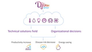 Technical solutions field Organizational decisions
Productivity increase Disease risk decrease Energy saving
 