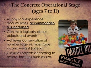 objects classified in simple ways especially by important features.