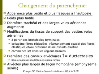 Changement du parenchyme: 
 Apparence plus petits et plus flasques à l ’autopsie 
 Poids plus faible 
 Diamètre trachéal et des larges voies aériennes 
augmente 
 Modifications du tissus de support des petites voies 
aériennes 
 à partir des bronchioles terminales 
 collagène,fibres réticulées, réarrangement spatial des fibres 
élastiques et/ou présence d’une pseudo-élastine 
 commence stt dans les régions basales 
 Diamètre des canaux alvéolaires ­= ductectasies 
 fibres élastiques modifiées et réseau rompu 
 Alvéoles plus larges de façon homogène (emphysème 
sénile) 
Krumpe PE, Clinics Geriatric Medicine 1985;1:143-175 
 