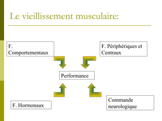 Le vieillissement musculaire: 
Performance 
F. 
Comportementaux 
F. Périphériques et 
Centraux 
Commande 
F. Hormonaux neurologique 
 