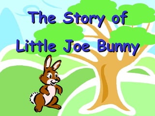The Story of Little Joe Bunny 