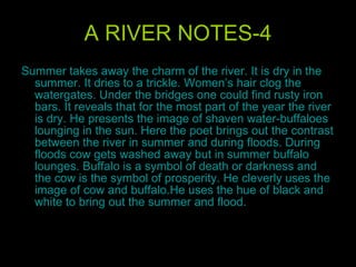 A RIVER NOTES-4 Summer takes away the charm of the river. It is dry in the summer. It dries to a trickle. Women’s hair clog the watergates. Under the bridges one could find rusty iron bars. It reveals that for the most part of the year the river is dry. He presents the image of shaven water-buffaloes lounging in the sun. Here the poet brings out the contrast between the river in summer and during floods. During floods cow gets washed away but in summer buffalo lounges. Buffalo is a symbol of death or darkness and the cow is the symbol of prosperity. He cleverly uses the image of cow and buffalo.He uses the hue of black and white to bring out the summer and flood. 