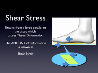 Shear Stress
Results from a force parallel to
       the tissue which
 causes Tissue Deformation

The AMOUNT of deformation
       is known as

         Shear Strain
 