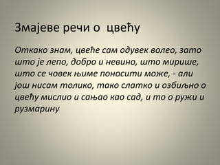 Змајеве речи о цвећу
Откако знам, цвеће сам одувек волео, зато
што је лепо, добро и невино, што мирише,
што се човек њиме поносити може, - али
још нисам толико, тако слатко и озбиљно о
цвећу мислио и сањао као сад, и то о ружи и
рузмарину
 