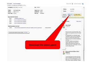 Download the select patch
 