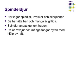 Spindeldjur
Här ingår spindlar, kvalster och skorpioner.
 De har åtta ben och många är giftiga.
 Spindlar andas genom huden.
 De är rovdjur och många fångar byten med
hjälp av nät.


 