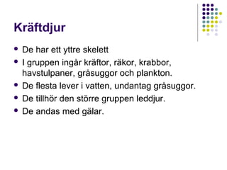 Kräftdjur
De har ett yttre skelett
 I gruppen ingår kräftor, räkor, krabbor,
havstulpaner, gråsuggor och plankton.
 De flesta lever i vatten, undantag gråsuggor.
 De tillhör den större gruppen leddjur.
 De andas med gälar.


 