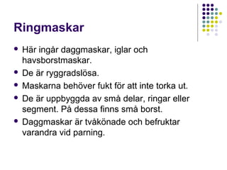 Ringmaskar
Här ingår daggmaskar, iglar och
havsborstmaskar.
 De är ryggradslösa.
 Maskarna behöver fukt för att inte torka ut.
 De är uppbyggda av små delar, ringar eller
segment. På dessa finns små borst.
 Daggmaskar är tvåkönade och befruktar
varandra vid parning.


 