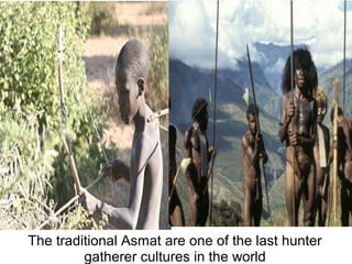 The traditional Asmat are one of the last hunter
gatherer cultures in the world
 