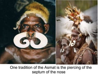 One tradition of the Asmat is the piercing of the
septum of the nose
 