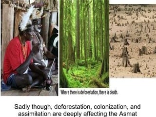 Sadly though, deforestation, colonization, and 
assimilation are deeply affecting the Asmat
 