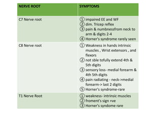 NERVE ROOT SYMPTOMS
C7 Nerve root ① impaired EE and WF
② dim. Tricep reflex
③ pain & numbnessfrom neck to
arm & digits 2-4
④ Horner's syndrome rarely seen
C8 Nerve root ① Weakness in hands intrinsic
muscles , Wrist extensors , and
flexors
② not sble tofully extend 4th &
5th digits
③ sensory loss- medial forearm &
4th 5th digits
④ pain radiating - neck->medial
forearm-> last 2 digits
⑤ Horner's syndrome-rare
T1 Nerve Root ① weakness- intrinsic muscles
② froment's sign +ve
③ Horner's syndome rare
 