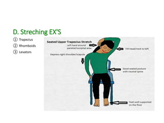 D. Streching EX'S
① Trapezius
② Rhomboids
③ Levators
 