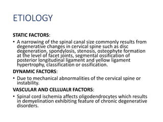 ETIOLOGY
STATIC FACTORS:
• A narrowing of the spinal canal size commonly results from
degenerative changes in cervical spine such as disc
degeneration, spondylosis, stenosis, osteophyte formation
at the level of facet joints, segmental ossification of
posterior longitudinal ligament and yellow ligament
hypertrophy, classification or ossification.
DYNAMIC FACTORS:
• Due to mechanical abnormalities of the cervical spine or
instability.
VASCULAR AND CELLUALR FACTORS:
• Spinal cord ischemia affects oligodendrocytes which results
in demyelination exhibiting feature of chronic degenerative
disorders.
 