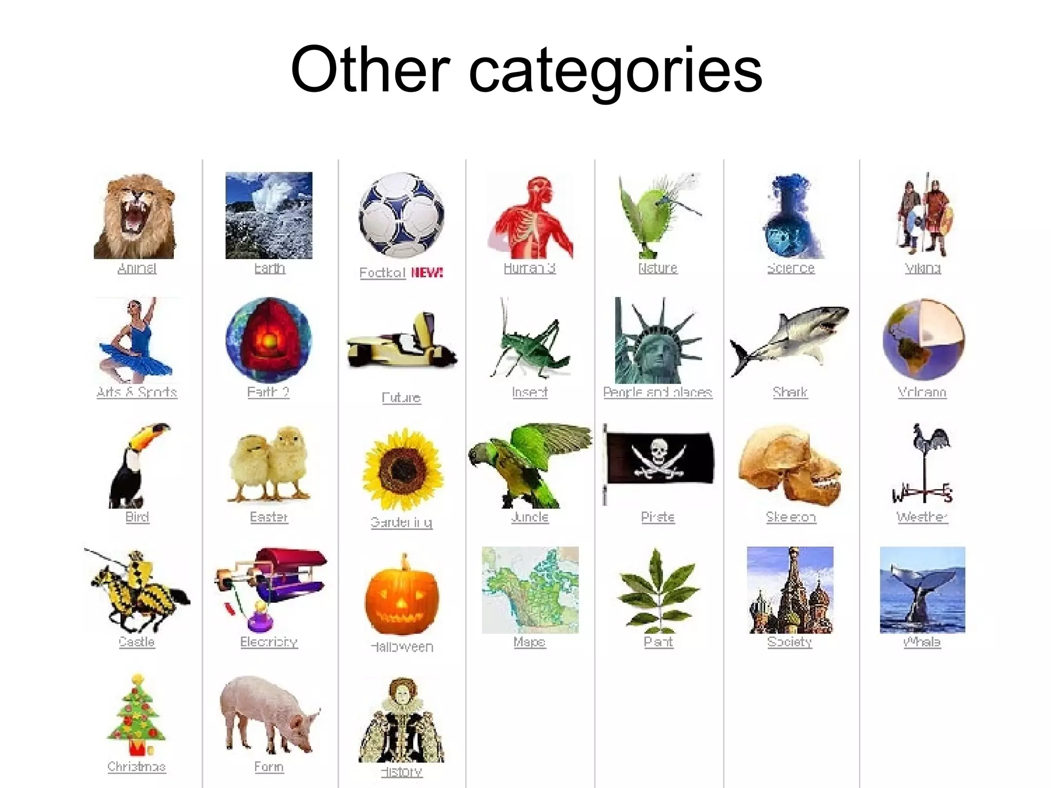 Other categories