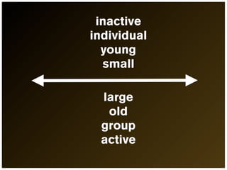 inactive
individual
  young
  small

 large
  old
 group
 active
 