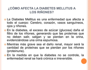 ¿CÓMO AFECTA LA DIABETES MELLITUS A 
LOS RIÑONES? 
 La Diabetes Mellitus es una enfermedad que afecta a 
todo el cuerpo: Cerebro, corazón, vasos sanguíneos, 
ojos y riñones. 
 En la diabetes, el exceso de azúcar (glucosa) daña el 
filtro de los riñones, generando que las proteínas que 
no deben salir, salgan y se pierdan en la orina, 
evidenciándose una orina espumosa. 
 Mientras más grave sea el daño renal, mayor será la 
cantidad de proteínas que se pierdan por los riñones 
(proteinuria). 
 En la medida en que la diabetes no se controle, la 
enfermedad renal se hará crónica e irreversible. 
 