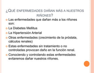¿QUÉ ENFERMEDADES DAÑAN MÁS A NUESTROS 
RIÑONES? 
 Las enfermedades que dañan más a los riñones 
son: 
 La Diabetes Mellitus 
 La Hipertensión Arterial 
 Otras enfermedades (crecimiento de la próstata, 
cálculos renales) 
 Estas enfermedades sin tratamiento o no 
controladas provocan daño en la función renal. 
 Conociendo y controlando estas enfermedades 
evitaremos dañar nuestros riñones. 
 