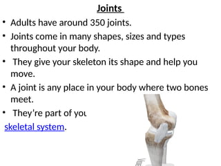 Joints
• Adults have around 350 joints.
• Joints come in many shapes, sizes and types
throughout your body.
• They give your skeleton its shape and help you
move.
• A joint is any place in your body where two bones
meet.
• They’re part of your
skeletal system.
 