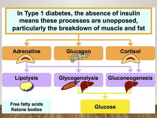DIABETIC KETOACIDOSIS AND ITS MANAGEMENT .pptx