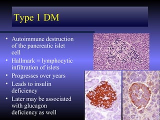 Type 1 DM

• Autoimmune destruction
  of the pancreatic islet
  cell
• Hallmark = lymphocytic
  infiltration of islets
• Progresses over years
• Leads to insulin
  deficiency
• Later may be associated
  with glucagon
  deficiency as well
 