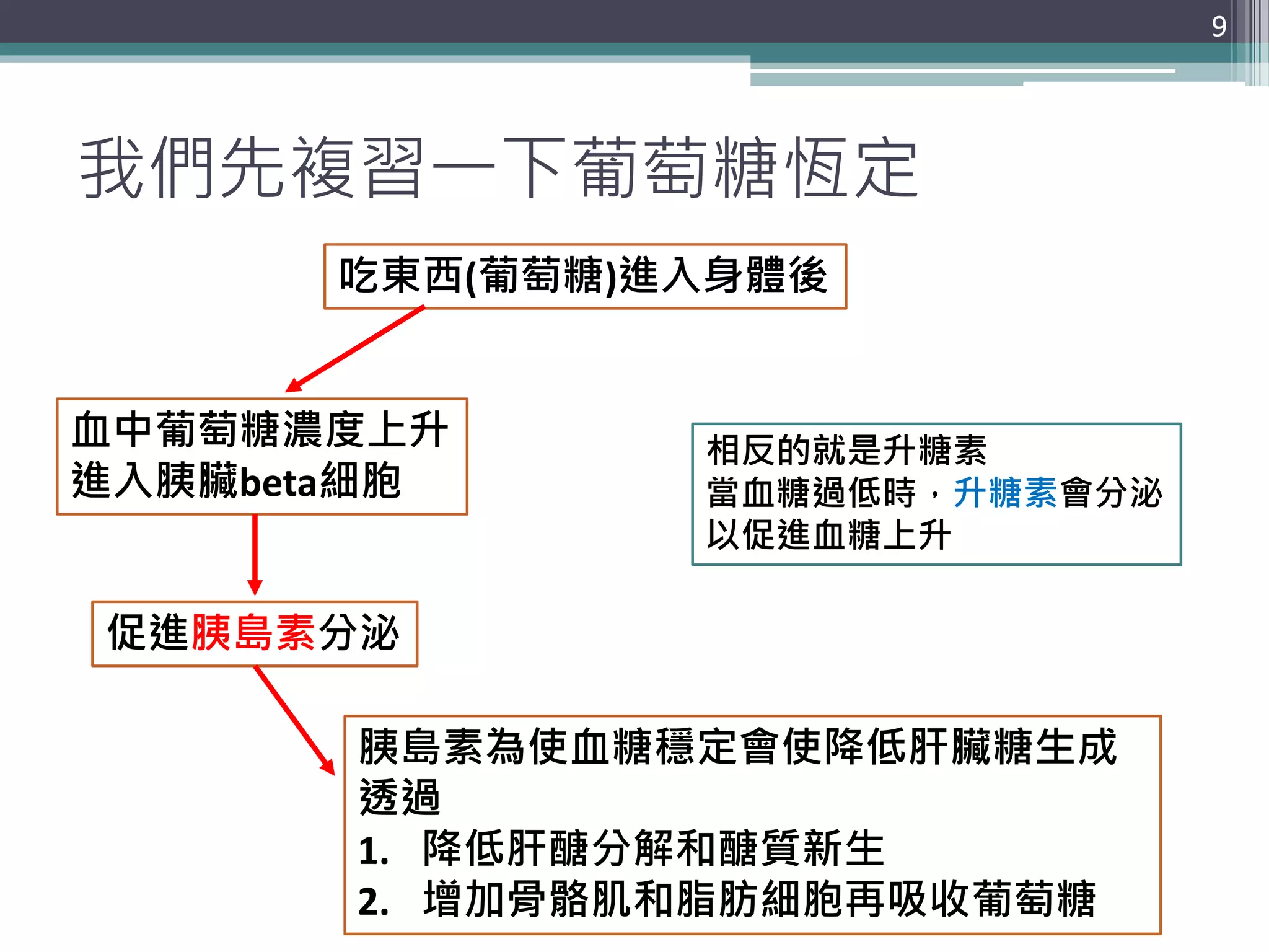 我們先複習一下葡萄糖恆定
9
吃東西(葡萄糖)進入身體後
血中葡萄糖濃度上升
進入胰臟beta細胞
促進胰島素分泌
胰島素為使血糖穩定會使降低肝臟糖生成
透過
1. 降低肝醣分解和醣質新生
2. 增加骨骼肌和脂肪細胞再吸收葡萄糖
相反的就是升糖素
當血糖過低時，升糖素會分泌
以促進血糖上升
 