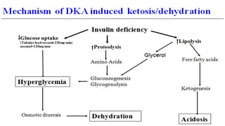 Dka Ss DKA & HHS.pptx