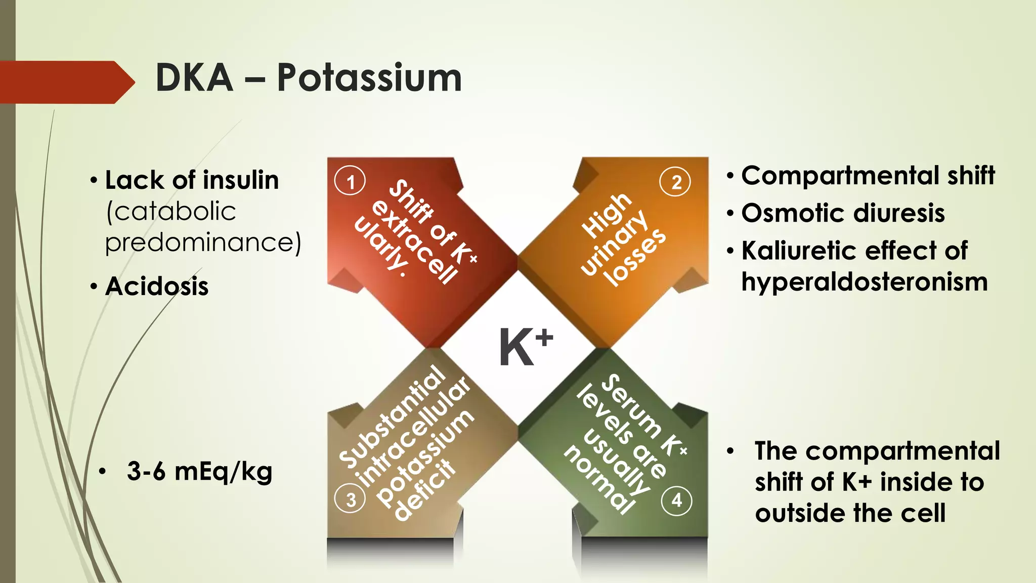 Dibetic Ketoacidosis in Children | PPTX