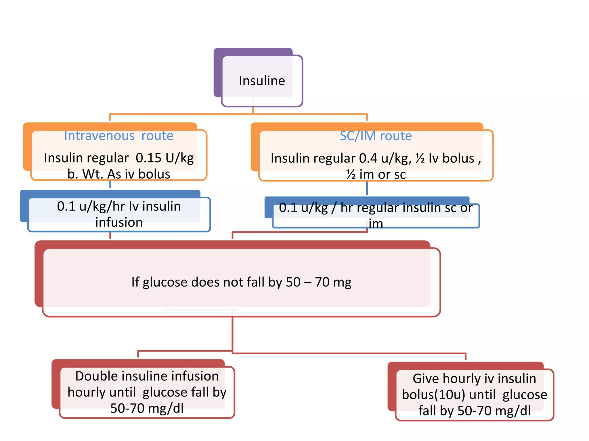 Diabetic ketoacidosis nursing management | PPTX