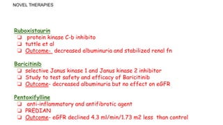NOVEL THERAPIES
Ruboxistaurin
❏ protein kinase C-b inhibito
❏ tuttle et al
❏ Outcome- decreased albuminuria and stabilized renal fn
Baricitinib
❏ selective Janus kinase 1 and Janus kinase 2 inhibitor
❏ Study to test safety and efficacy of Baricitinib
❏ Outcome- decreased albuminuria but no effect on eGFR
Pentoxifylline
❏ anti-inflammatory and antifibrotic agent
❏ PREDIAN
❏ Outcome- eGFR declined 4.3 ml/min/1.73 m2 less than control
 