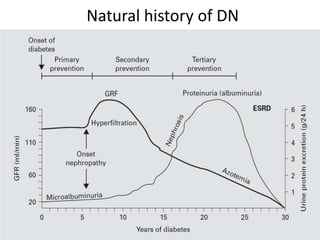 Natural history of DN

 