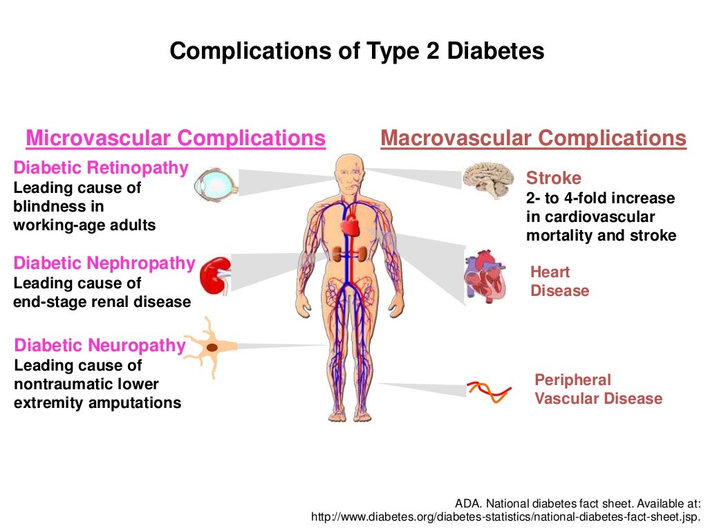 pathophysiology and therapy of diabetic nephropathy