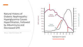 Natural History of
Diabetic Nephropathy:
Hyperglycemia Causes
Hyperfiltration, Followed
by Albuminuria and
Decreased GFR
Reference: Adapted from Friedman, 1999
 