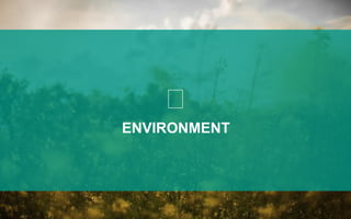 ENVIRONMENT
 