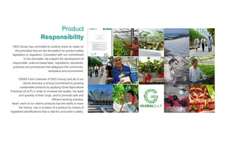 Product
Responsibility
DKG Group has committed to publicly share its views on
the principles that are the foundation for product safety
legislation or regulation. Consistent with our commitment
to the principles, we support the development of
responsible, science-based laws, regulations, standards,
practices and procedures that safeguard the community,
workplace and environment.
DRIKA Farm (member of DKG Group) and all of our
clients embrace a strong commitment to growing
sustainable products by applying Good Agricultural
Practices (G.A.P) in order to increase the quality, the taste
and quantity of their crops, and to promote safe and
efficient working practice.
Apart, each of our client's products has the ability to trace
the history, use or location of a product by means of
registered identifications that is vital for consumer’s safety.
 