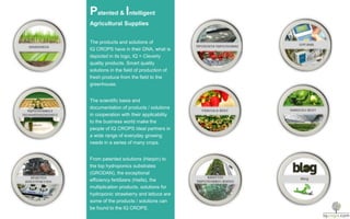 Patented & Intelligent
Agricultural Supplies
The products and solutions of
IQ CROPS have in their DNA, what is
depicted in its logo, IQ = Cleverly
quality products. Smart quality
solutions in the field of production of
fresh produce from the field to the
greenhouse.
The scientific basis and
documentation of products / solutions
in cooperation with their applicability
to the business world make the
people of IQ CROPS ideal partners in
a wide range of everyday growing
needs in a series of many crops.
From patented solutions (Ηarpin) to
the top hydroponics substrates
(GRODAN), the exceptional
efficiency fertilizers (Haifa), the
multiplication products, solutions for
hydroponic strawberry and lettuce are
some of the products / solutions can
be found to the IQ CROPS.
 