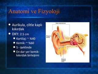 Anatomi ve Fizyoloji

   Aurikula, ciltle kaplı
    kıkırdak
   DKY: 2.5 cm
       Kartilaj: ~ %40
       Kemik: ~ %60
       S - şeklinde
       En dar yer kemik-
        kıkırdak birleşimi
 